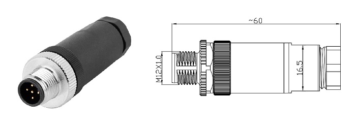 M12 13