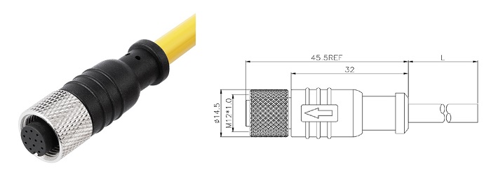 M12 2