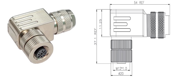 M12 20 2