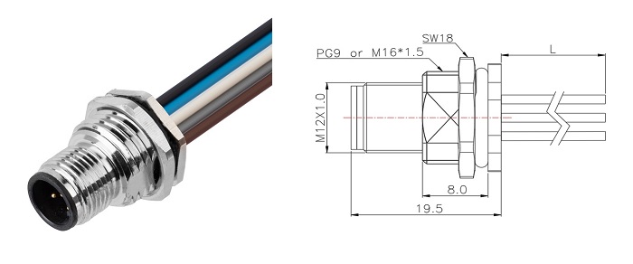 M12 7