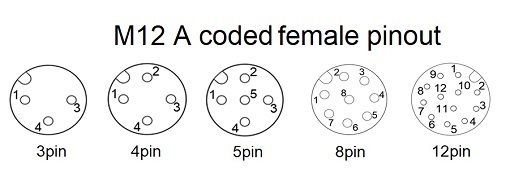 M12 a code female 3 12