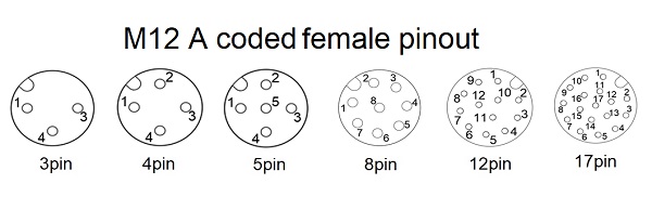 M12 a codice femmina 3 17