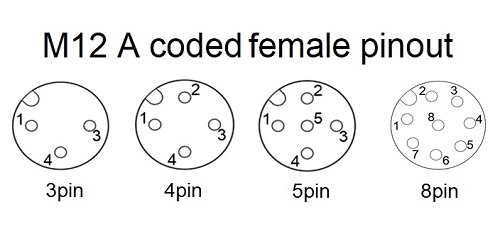 a code female 3 8